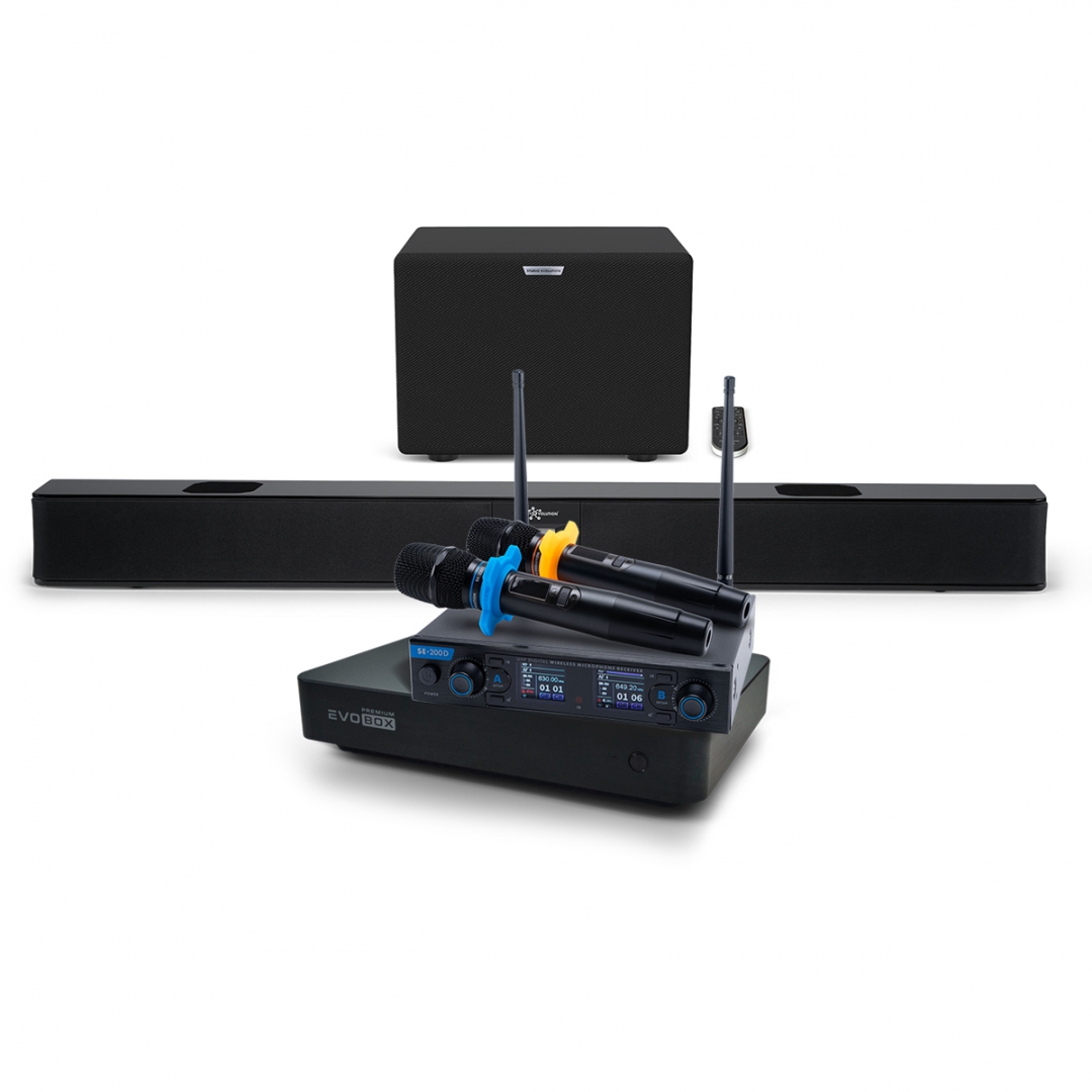 Hi-End караоке-система EVOBOX Premium + EvoSoundBar (саундбар с караоке) в Борисоглебске