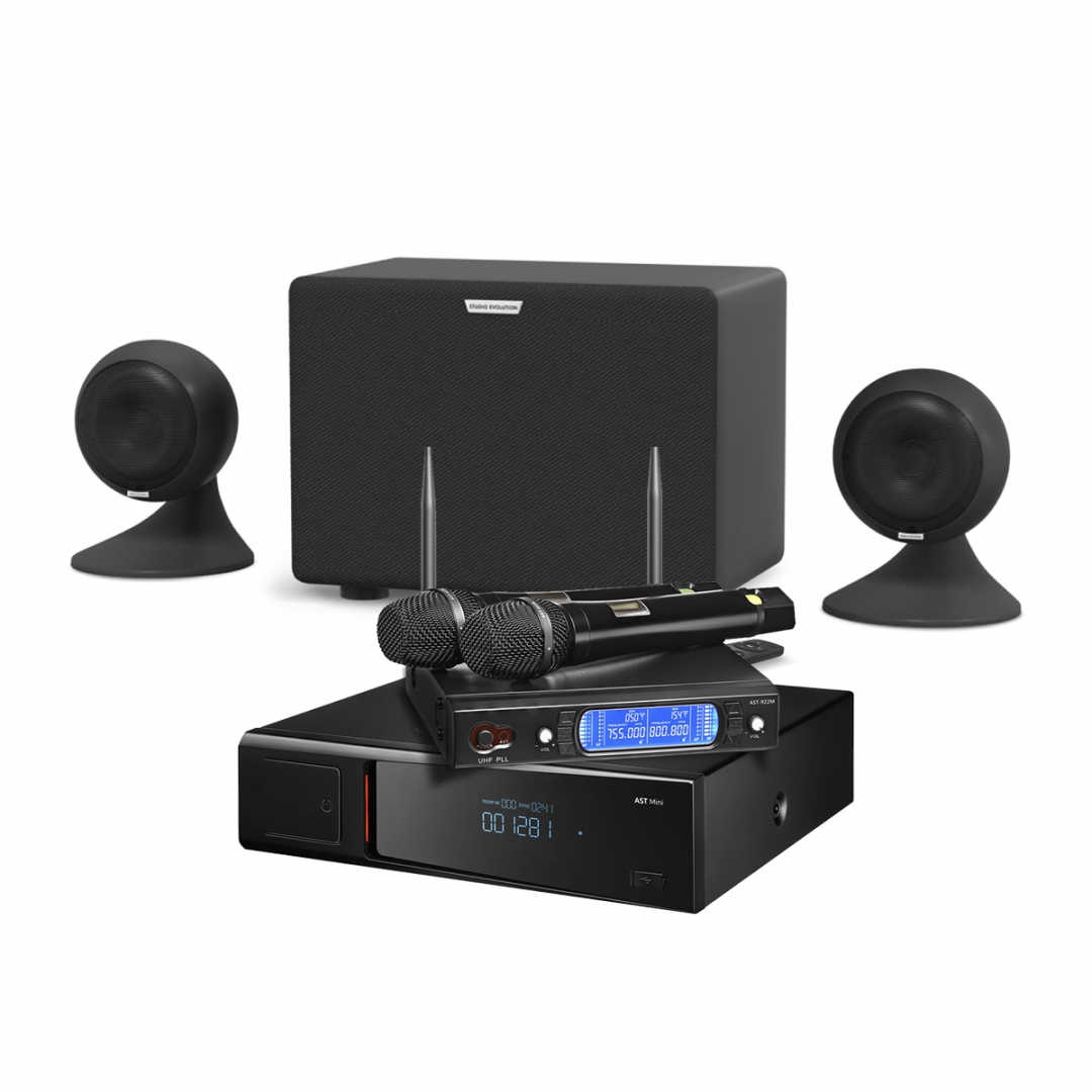 караоке-комплект AST Mini Sound Sphere в Борисоглебске