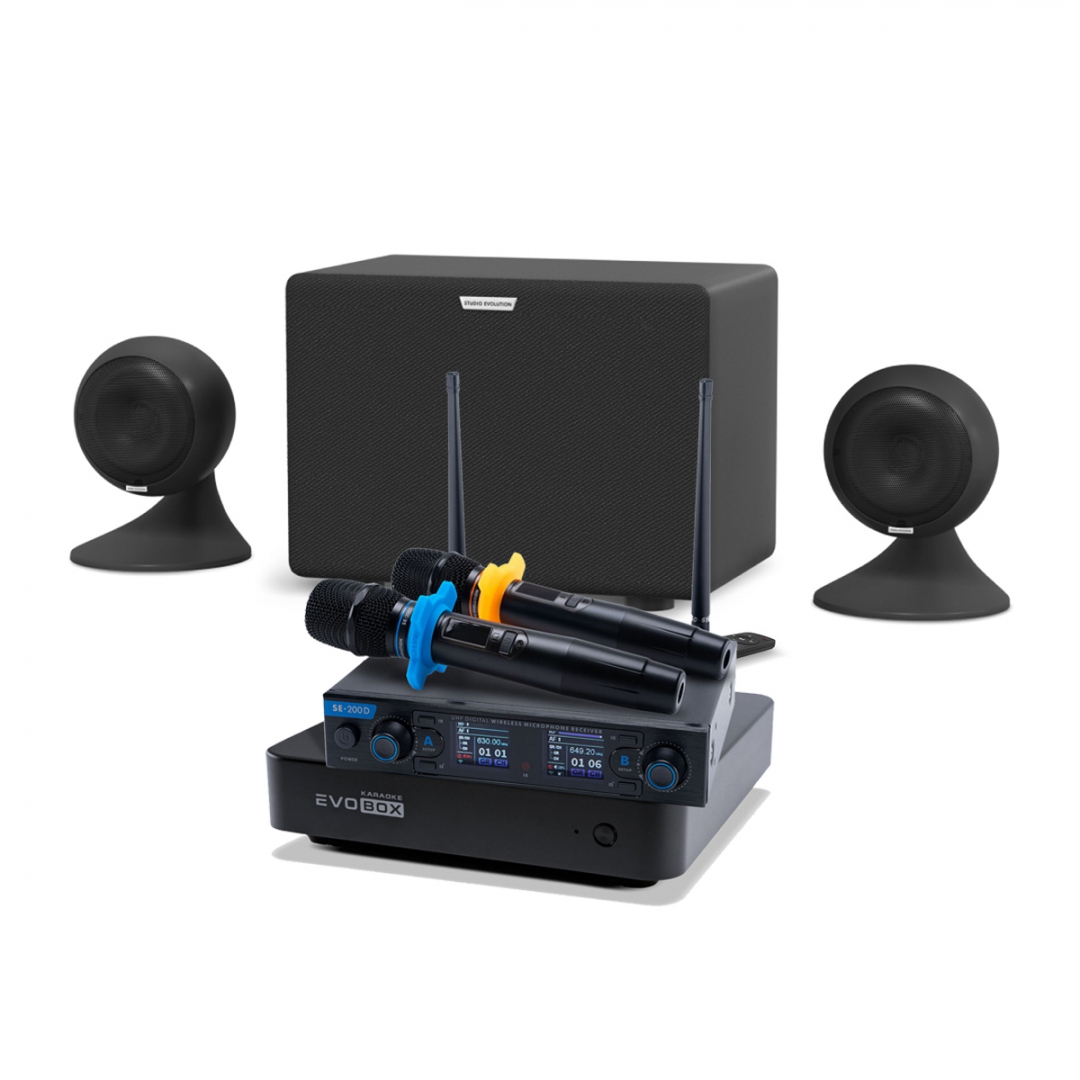 караоке-комплект EVOBOX + EvoSound Sphere 2.1 в Борисоглебске