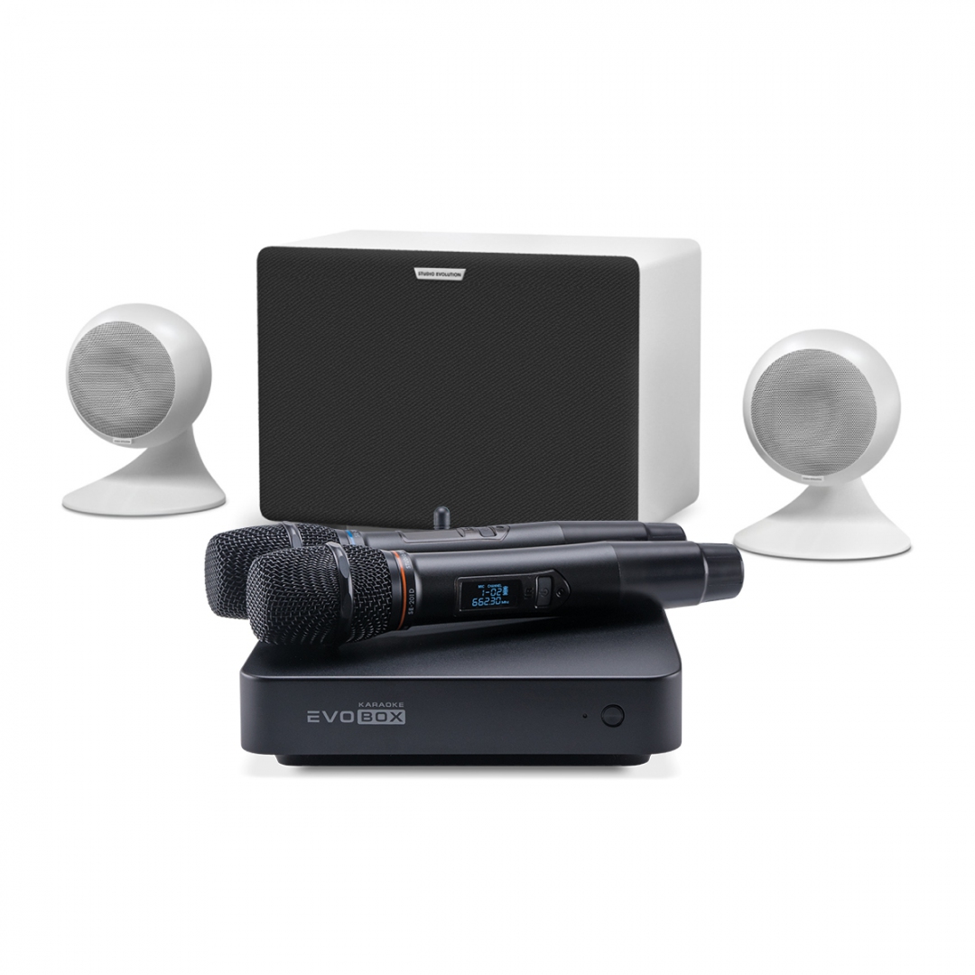 караоке-комплект EVOBOX Classic + EvoSound Sphere 2.1 в Борисоглебске