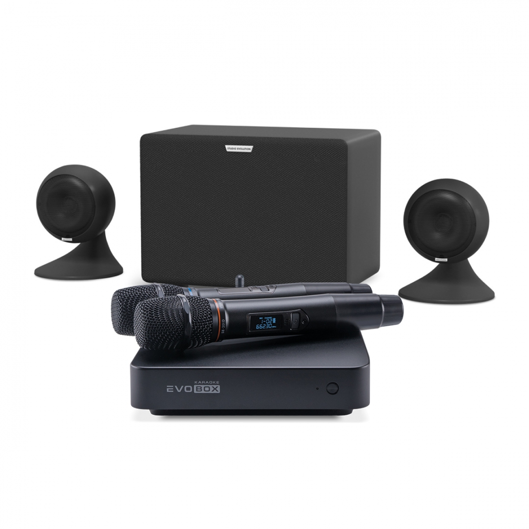 караоке-комплект EVOBOX Plus + EvoSound Sphere 2.1 в Борисоглебске