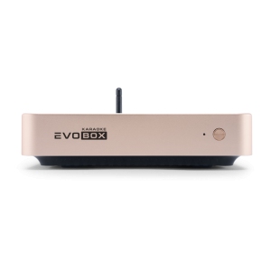 EVOBOX Classic караоке-система для дома в Борисоглебске