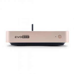 EVOBOX Plus караоке-система для дома в Борисоглебске