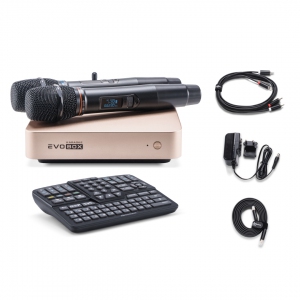 EVOBOX Plus караоке-система для дома в Борисоглебске