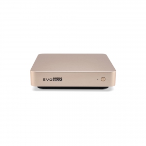 EVOBOX с микрофонами в Борисоглебске